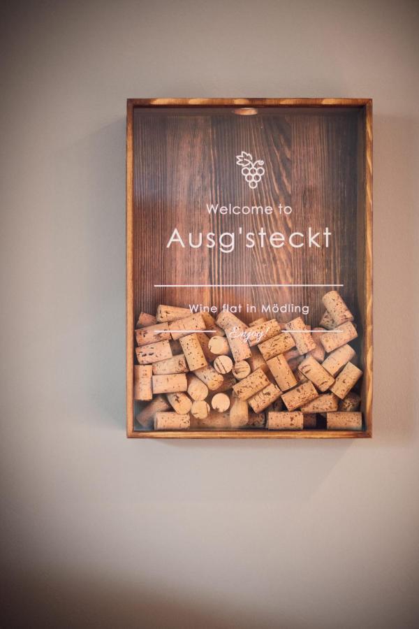 Апартаменти Ausg'Steckt - Wine Flat Modling - Great Location Екстер'єр фото
